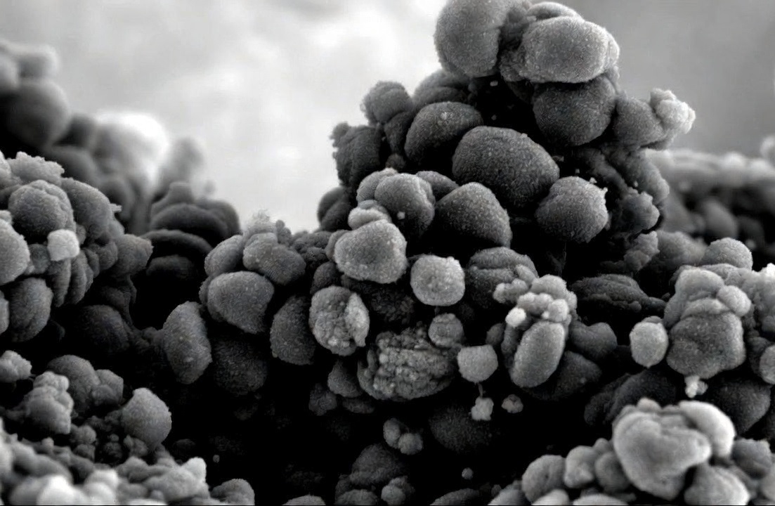 химреакция полимеров